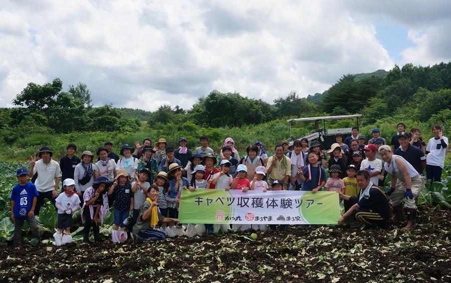 20190724キャベツ収穫③
