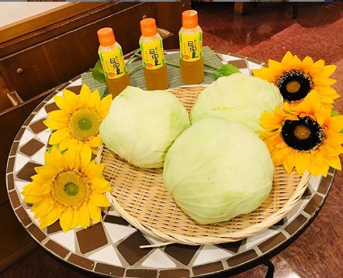まるやまの採れたてキャベツ